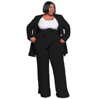 Daily Women's Elegant Solid Color Spandex Polyester Knit Pants Sets Plus Size Two-piece Sets main image 4