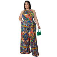 Women's Daily Vintage Style Color Block Full Length Printing Jumpsuits main image 5