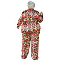 Daily Retro Printing Spandex Polyester Pants Sets Plus Size Two-piece Sets main image 5