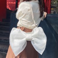 Women's Medium Canvas Bow Knot Streetwear Zipper Crossbody Bag main image 8