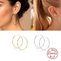1 Paar Einfacher Stil Einfarbig Sterling Silber Ohrringe main image 1