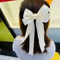 Women's Elegant Simple Style Bow Knot Silk Hair Clip sku image 1