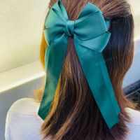 Women's Elegant Simple Style Bow Knot Silk Hair Clip sku image 4