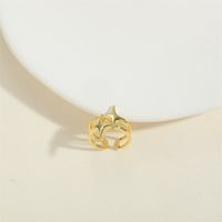 Großhandel Vintage-Stil Einfacher Stil Pendeln Stern Herzform Einfarbig Kupfer Inlay 14 Karat Vergoldet Zirkon Offener Ring sku image 3