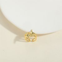 Wholesale Vintage Style Simple Style Commute Star Heart Shape Solid Color Copper Inlay 14K Gold Plated Zircon Open Rings main image 6