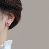 1 Paire Style Simple Style Classique Fleur Incruster Alliage Zircon Boucles D'Oreilles main image 3