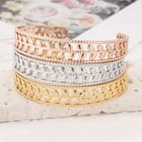 Stainless Steel 18K Gold Plated Rose Gold Plated Elegant Punk Shiny Leaves Hollow Out Bangle main image 9
