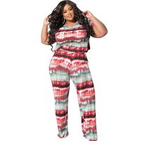 Daily Casual Stripe Polyester Pants Sets Plus Size Two-piece Sets main image 5