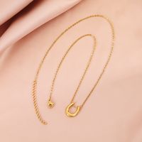 Stainless Steel Simple Style Classic Style U Shape Plating Pendant Necklace main image 9