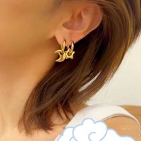 1 Pair Simple Style Classic Style Heart Shape Stainless Steel 18K Gold Plated Earrings main image 6