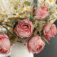 Einfacher Stil Klassischer Stil Blume Seidenblume Nachgemachte Pflanzen Künstliche Blumen main image 4