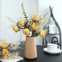 Einfacher Stil Klassischer Stil Blume Seidenblume Nachgemachte Pflanzen Künstliche Blumen main image 5