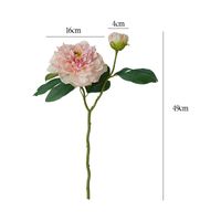 Style Simple Style Classique Fleur Fleur De Soie Plantes Artificielles Fleurs Artificielles main image 2