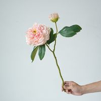 Style Simple Style Classique Fleur Fleur De Soie Plantes Artificielles Fleurs Artificielles sku image 3