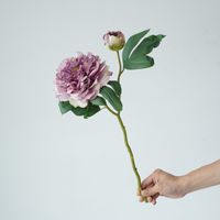 Style Simple Style Classique Fleur Fleur De Soie Plantes Artificielles Fleurs Artificielles sku image 4