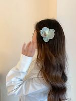 Women's Sweet Flower Cloth Hair Clip main image 5