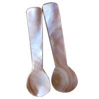 Casual Solid Color Shell Spoon 1 Piece main image 2