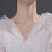 Sterling Silber Einfacher Stil Herzform Überzug Inlay Zirkon Halskette main image 3