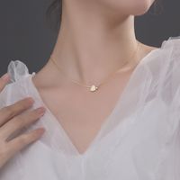 Sterling Silber Einfacher Stil Herzform Überzug Inlay Zirkon Halskette main image 2