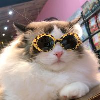 Cute Simple Style PC Sunglasses Pet Accessories sku image 5