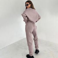Women's Hoodies Sets Long Sleeve Streetwear Solid Color main image 5