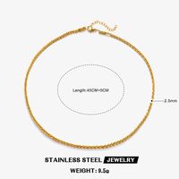 304 Stainless Steel 18K Gold Plated Simple Style Solid Color Necklace sku image 7