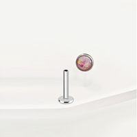 1 Stück Lippenringe Einfacher Stil Klassischer Stil Einfarbig Reines Titan Inlay Opal Lippenringe sku image 8