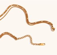 Titan Stahl 18 Karat Vergoldet Elegant Einfacher Stil Einfarbig Doppellagige Halsketten main image 4