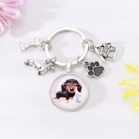 Cute Simple Style Dog Paw Print Unforgettable Alloy Glass Inlay Glass Bag Pendant Keychain sku image 2