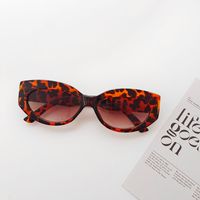 Y2K Solid Color Pc Resin Oval Frame Full Frame Women's Sunglasses sku image 5