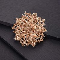 Style IG Brillant Fleur Alliage Placage Incruster Strass Unisexe Broches sku image 8
