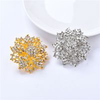 Style IG Brillant Fleur Alliage Placage Incruster Strass Unisexe Broches main image 3