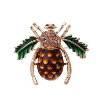 Mignon Insecte Alliage Émail Placage Incruster Strass Unisexe Broches sku image 6