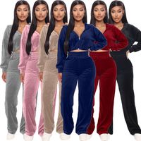 Holiday Daily Women's Casual Solid Color Polyester Pants Sets Pants Sets main image 1