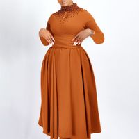 Women's Swing Dress Simple Style Turtleneck Beaded Pleated Long Sleeve Solid Color Midi Dress Holiday Daily main image 2