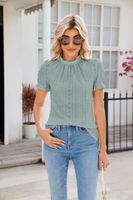 Women's T-shirt Short Sleeve T-Shirts Elegant Solid Color sku image 24