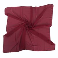 Women's Elegant Solid Color Chiffon Kerchief main image 2