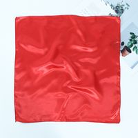 Women's Simple Style Solid Color Polyester Silk Scarf sku image 1