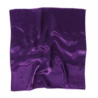 Women's Simple Style Solid Color Polyester Silk Scarf sku image 5