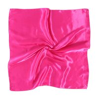 Women's Simple Style Solid Color Polyester Silk Scarf sku image 7