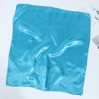 Women's Simple Style Solid Color Polyester Silk Scarf sku image 10