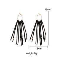 1 Pair Casual Simple Style Tassel Polyester Fiber Drop Earrings main image 2