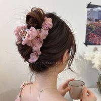 Women's Elegant Sweet Flower Cloth Hair Claws main image 3