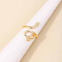 Wholesale Jewelry IG Style Geometric Alloy Plating Open Rings sku image 14