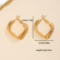 1 Pair Casual Simple Style Quadrilateral Alloy Hoop Earrings main image 2
