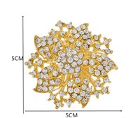 Style IG Brillant Fleur Alliage Placage Incruster Strass Unisexe Broches main image 2