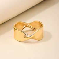 Nordic Style Irregular Solid Color Alloy Wholesale Bangle main image 3