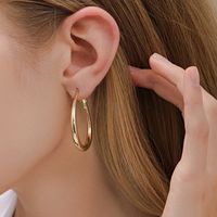 1 Piece Casual Simple Style Geometric Iron Hoop Earrings sku image 1