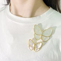 IG Style Commute Butterfly Alloy Inlay Shell Zircon Unisex Brooches 1 Piece main image 5