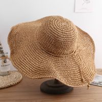 Women's Vacation Bow Knot Big Eaves Sun Hat sku image 3